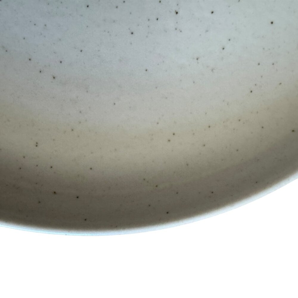 Casafina Ceramic Stoneware 10.5 Dinner Plate Pacifica Collection Vanilla Speckle - Picture 6 of 13